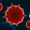 CDC Coronavirus – Situation Summary